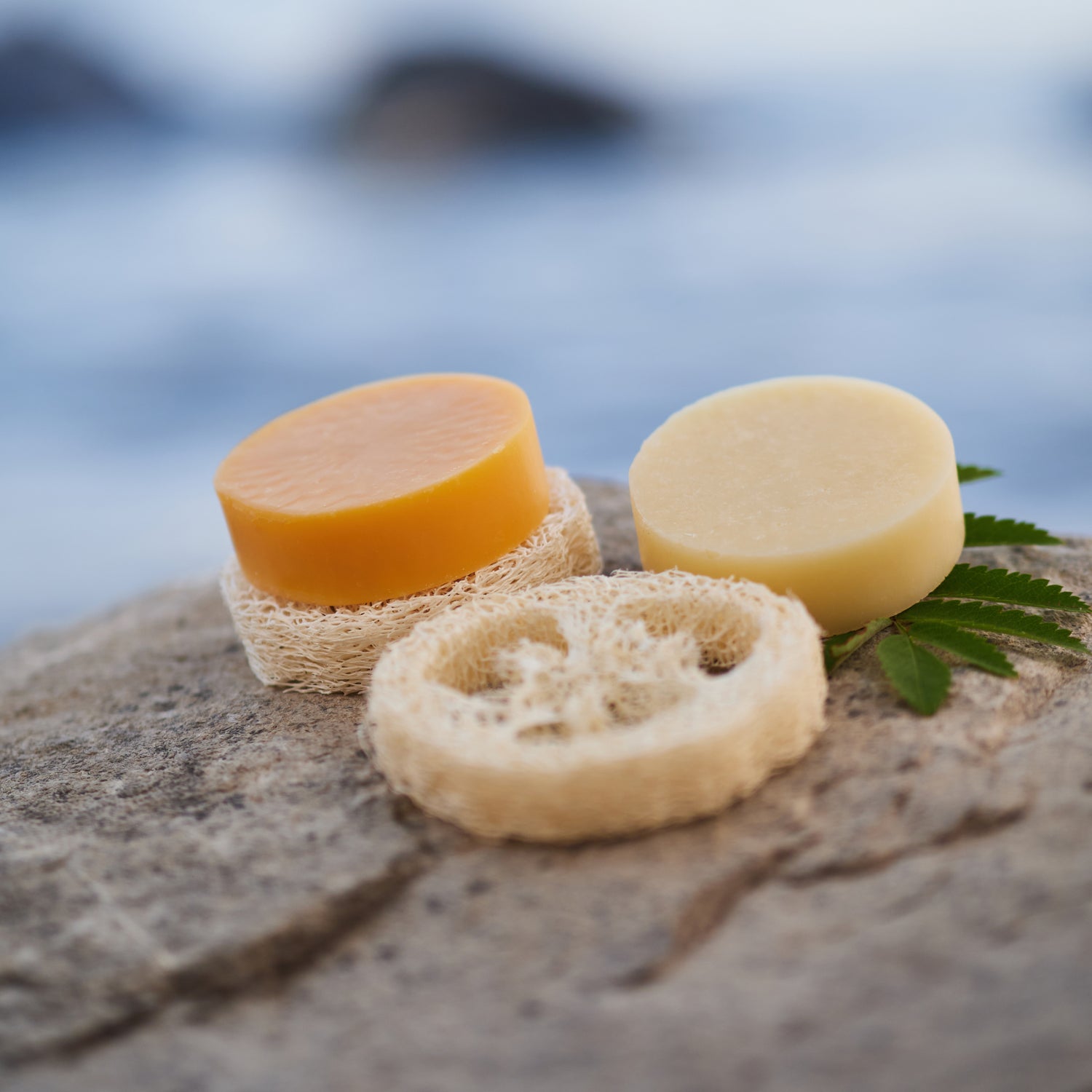 alva Sanddorn Festes Shampoo auf einem Stein
